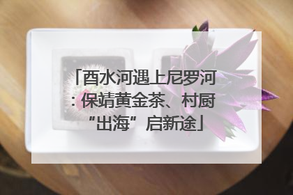 酉水河遇上尼罗河：保靖黄金茶、村厨“出海”启新途