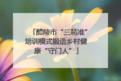 醴陵市“三精准”培训模式锻造乡村健康“守门人”