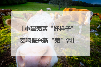 重建羌寨“好样子” 奏响振兴新“羌”调