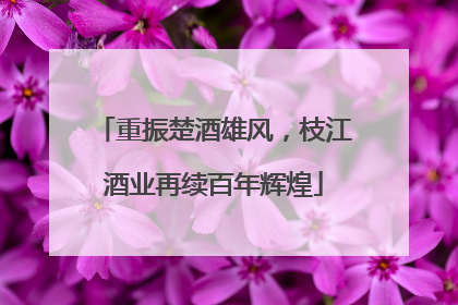 重振楚酒雄风，枝江酒业再续百年辉煌