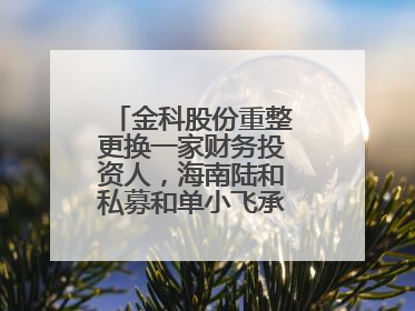 金科股份重整更换一家财务投资人，海南陆和私募和单小飞承接其投资额度