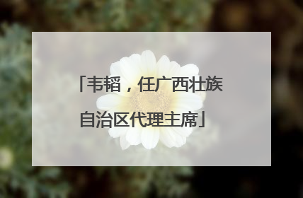 韦韬，任广西壮族自治区代理主席