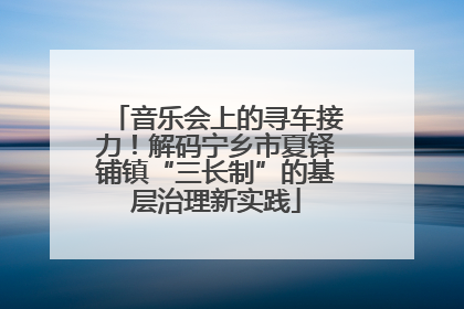 音乐会上的寻车接力！解码宁乡市夏铎铺镇“三长制”的基层治理新实践