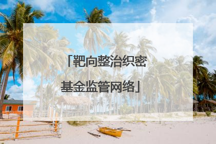 靶向整治织密基金监管网络