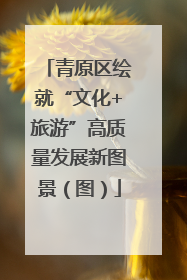 青原区绘就“文化+旅游”高质量发展新图景（图）