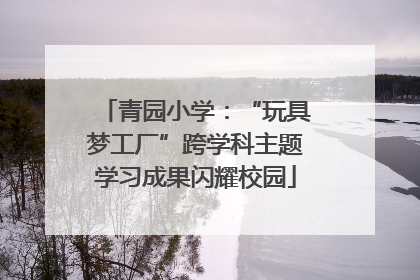 青园小学：“玩具梦工厂”跨学科主题学习成果闪耀校园