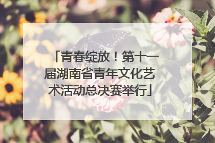 青春绽放！第十一届湖南省青年文化艺术活动总决赛举行