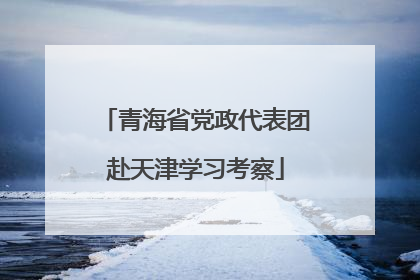 青海省党政代表团赴天津学习考察
