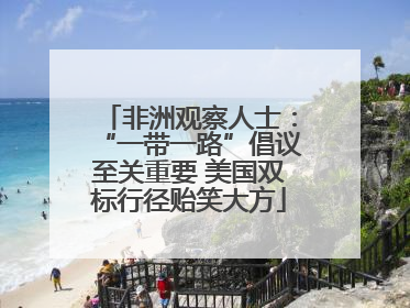 非洲观察人士：“一带一路”倡议至关重要 美国双标行径贻笑大方