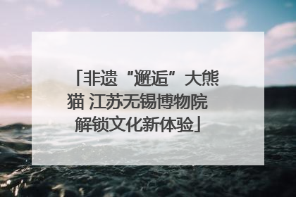非遗“邂逅”大熊猫 江苏无锡博物院解锁文化新体验