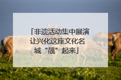 非遗活动集中展演 让兴化这座文化名城“靓”起来