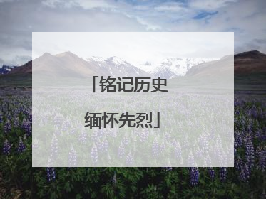 铭记历史 缅怀先烈