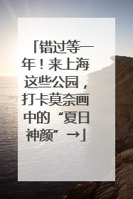 错过等一年！来上海这些公园，打卡莫奈画中的“夏日神颜”→