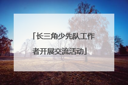 长三角少先队工作者开展交流活动
