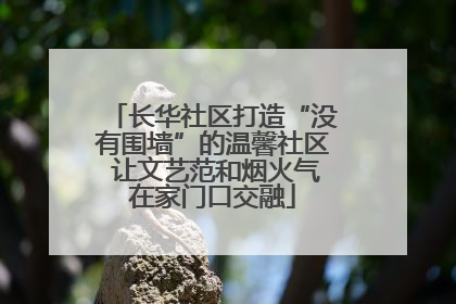 长华社区打造“没有围墙”的温馨社区 让文艺范和烟火气在家门口交融