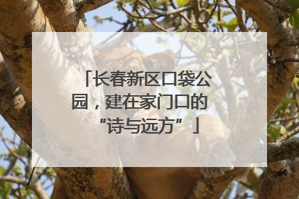 长春新区口袋公园，建在家门口的“诗与远方”