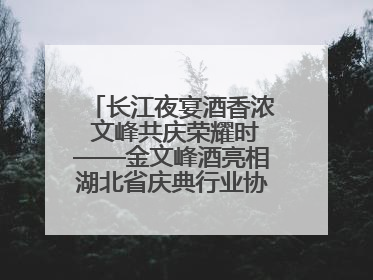 长江夜宴酒香浓 文峰共庆荣耀时——金文峰酒亮相湖北省庆典行业协会十周年盛典