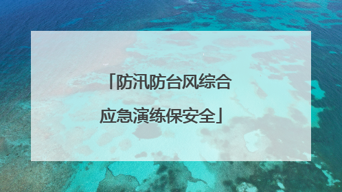 防汛防台风综合应急演练保安全