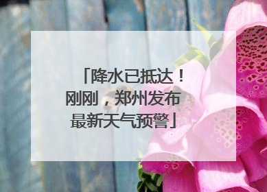 降水已抵达！刚刚，郑州发布最新天气预警