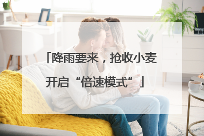 降雨要来，抢收小麦开启“倍速模式”