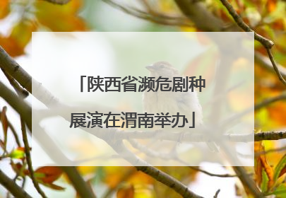 陕西省濒危剧种展演在渭南举办