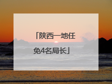 陕西一地任免4名局长