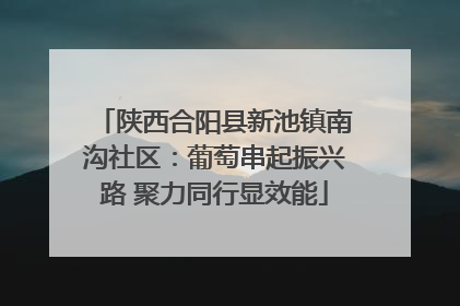 陕西合阳县新池镇南沟社区：葡萄串起振兴路 聚力同行显效能