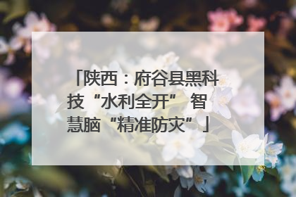 陕西：府谷县黑科技“水利全开” 智慧脑“精准防灾”