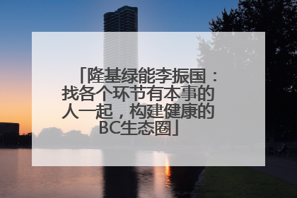 隆基绿能李振国：找各个环节有本事的人一起，构建健康的BC生态圈