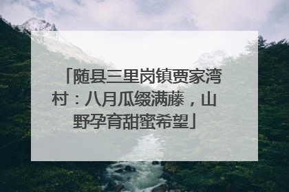 随县三里岗镇贾家湾村：八月瓜缀满藤，山野孕育甜蜜希望