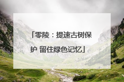 零陵：提速古树保护 留住绿色记忆
