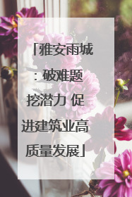 雅安雨城：破难题 挖潜力 促进建筑业高质量发展