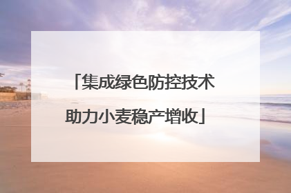 集成绿色防控技术助力小麦稳产增收