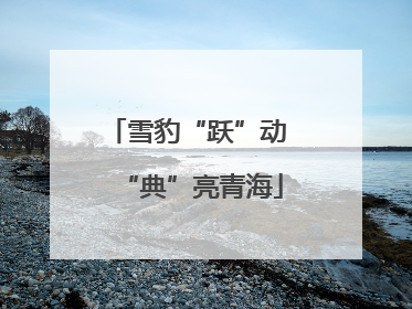 雪豹“跃”动 “典”亮青海