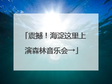 震撼！海淀这里上演森林音乐会→