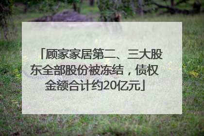 顾家家居第二、三大股东全部股份被冻结，债权金额合计约20亿元