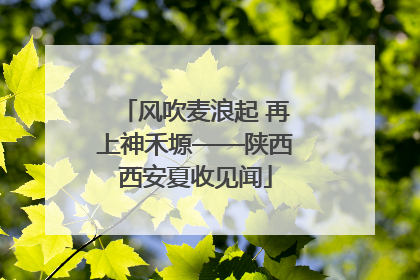 风吹麦浪起 再上神禾塬——陕西西安夏收见闻
