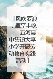 风吹麦浪，趣享丰收——五河县申集镇大李小学开展劳动教育实践活动