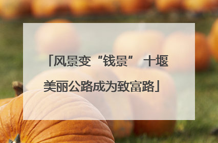 风景变“钱景” 十堰美丽公路成为致富路