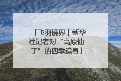 飞羽镜界｜新华社记者对“高原仙子”的四季追寻