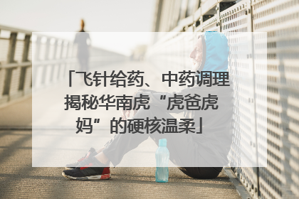 飞针给药、中药调理 揭秘华南虎“虎爸虎妈”的硬核温柔
