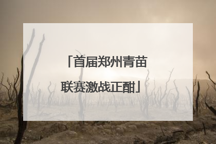 首届郑州青苗联赛激战正酣
