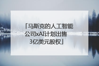 马斯克的人工智能公司xAI计划出售3亿美元股权