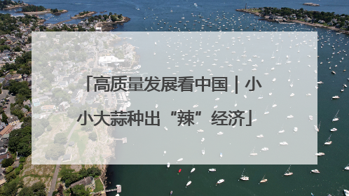高质量发展看中国｜小小大蒜种出“辣”经济