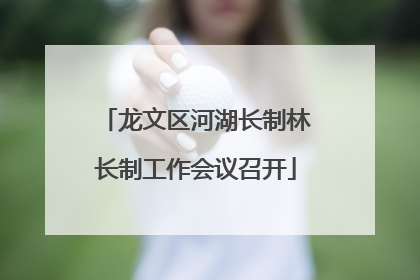 龙文区河湖长制林长制工作会议召开