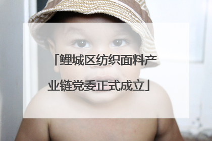 鲤城区纺织面料产业链党委正式成立