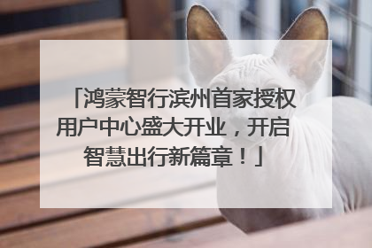 鸿蒙智行滨州首家授权用户中心盛大开业，开启智慧出行新篇章！