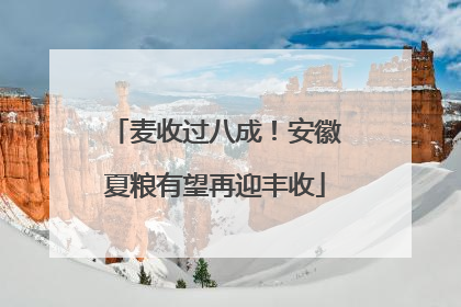 麦收过八成！安徽夏粮有望再迎丰收
