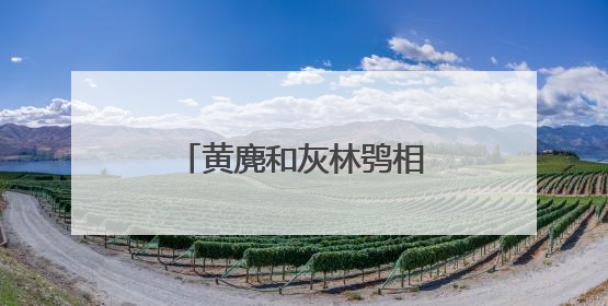 黄麂和灰林鸮相继“落难”，十堰好心人接力施救