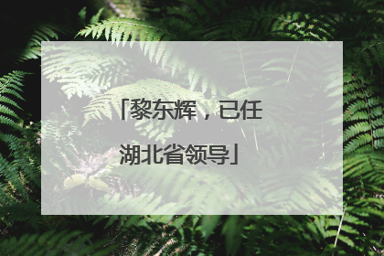 黎东辉，已任湖北省领导